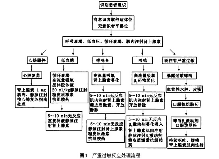 口腔门诊严重过敏反应的急救